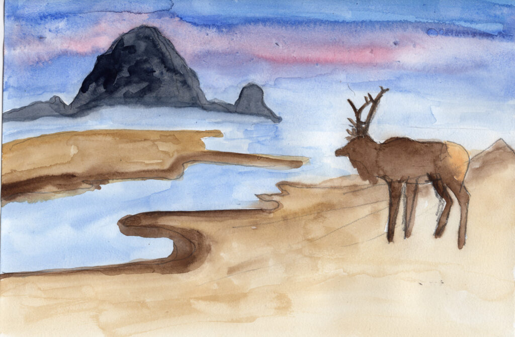 watercolor painting of an elk on the beach near Haystack rock in Cannon Beach Oregon